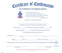 Certificate of Confirmation