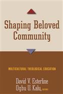 Shaping Beloved Community