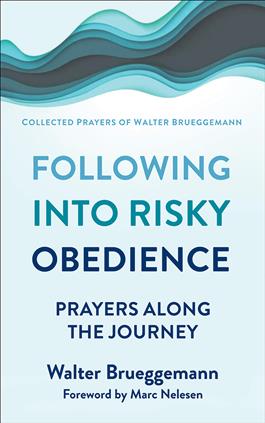 Following into Risky Obedience