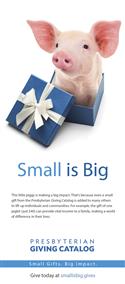 Presbyterian Giving Catalog Poster Set (set of 2) - SMALL IS BIG