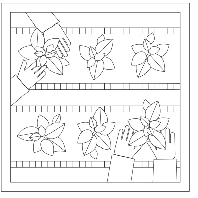 Presbyterian Giving Catalog Threads of Connection Gardening Template Set of 16 (2022)