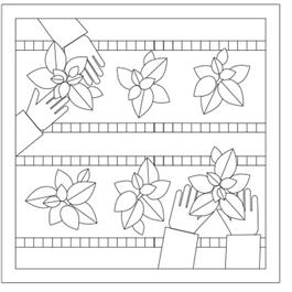 Presbyterian Giving Catalog Threads of Connection Gardening Template Set of 16 (2022)