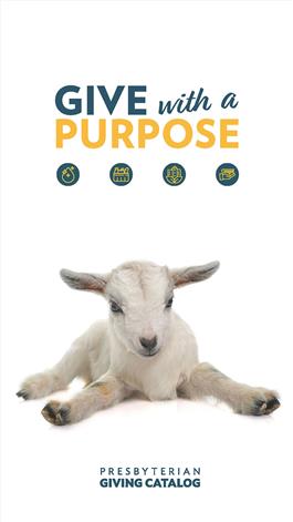 2026–2027 Presbyterian Giving Catalog