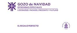 Spanish Christmas Joy Offering Envelope (pk of 25)