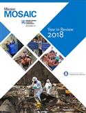 Mission Mosaic: Year In Review 2018