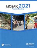 Mosaic: Year In Review 2021