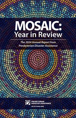 Mosaic: Year In Review 2024