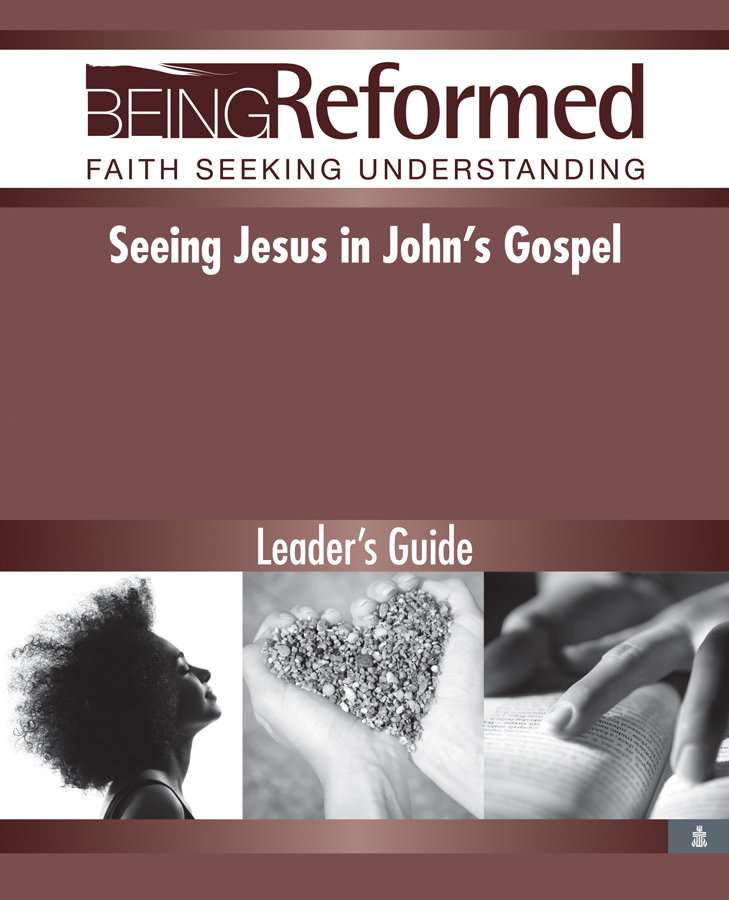 Seeing Jesus in John's Gospel, Leader's Guide