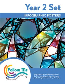 Year 2 Infographic Poster Set (9 posters): Printed