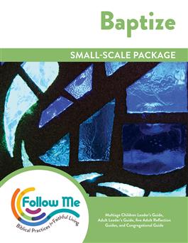Baptize: Small-Scale Package: Printed