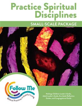 Practice Spiritual Disciplines: Small-Scale Package: Printed