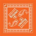 PW-Logo Bandana Orange